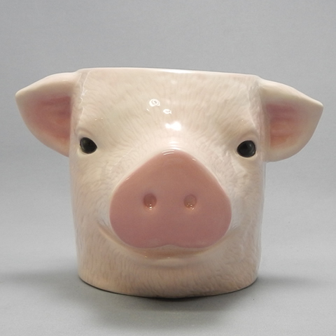 animals mug Pig