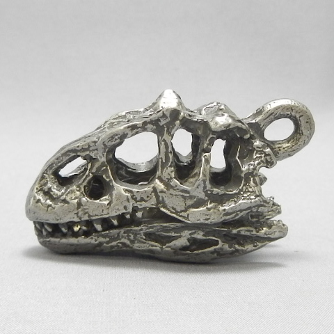 dinosaur skull allosaurus