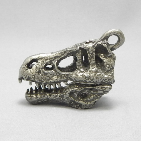 dinosaur skull T-REXr